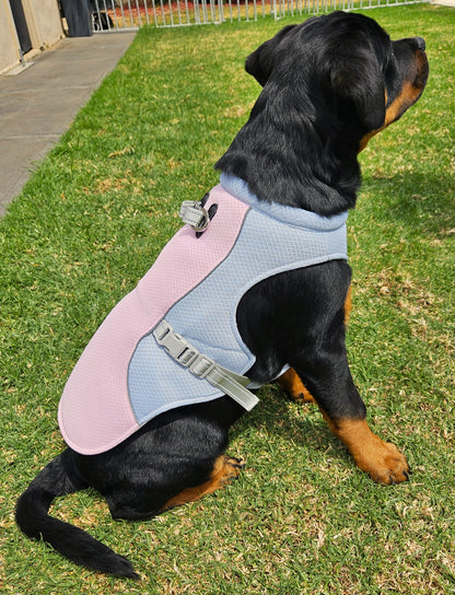 Best Summer Cooling Vest For Dogs